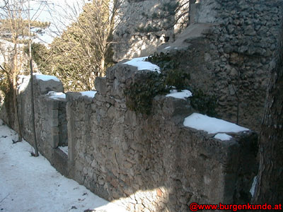 Ruine Rauheneck