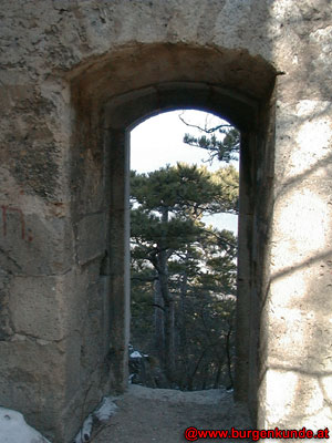 Ruine Rauheneck