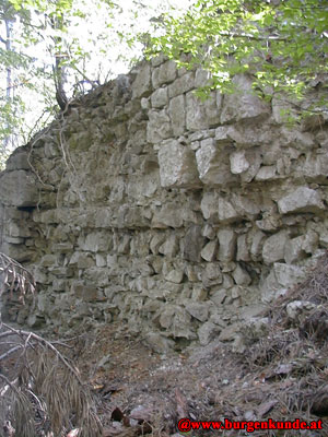 Ruine Scharfeneck