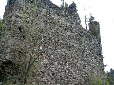 Ruine Schwarzau