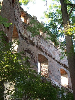 Ruine Zelking