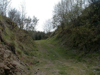 Ruine Blankenberg