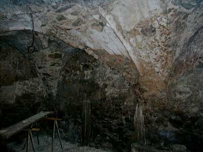 Ruine Dachsberg