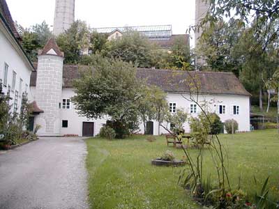 Ruine Dachsberg