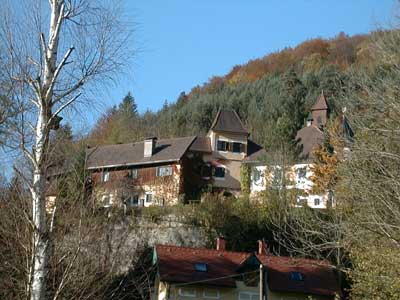 Ruine Dachsberg