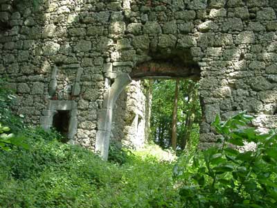 Ruine Klingenberg