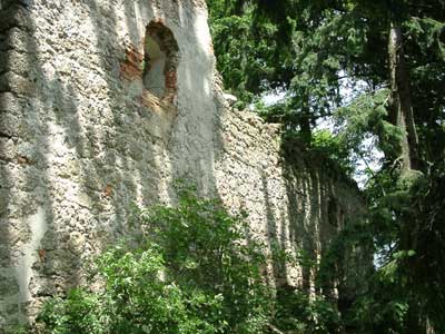 Ruine Klingenberg