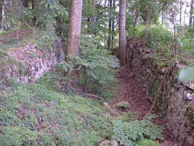 Ruine Klingenberg