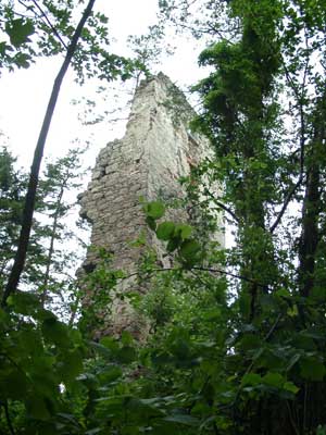 Ruine Klingenberg