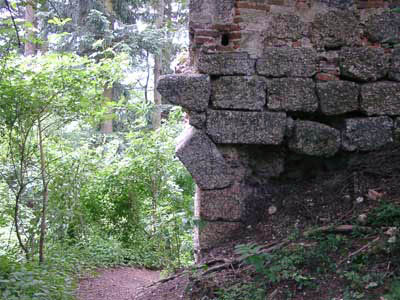 Ruine Klingenberg