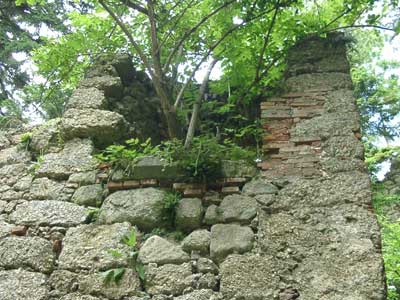 Ruine Klingenberg