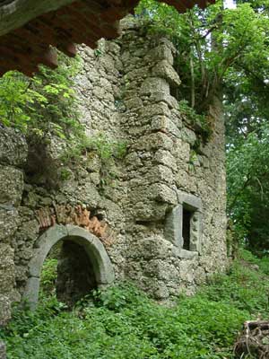 Ruine Klingenberg