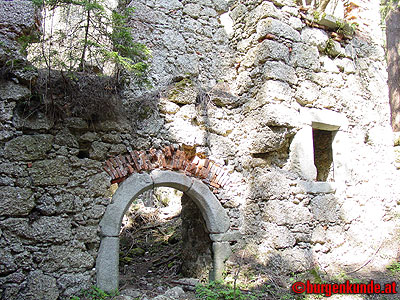 Burgruine Klingenberg / Niederösterreich