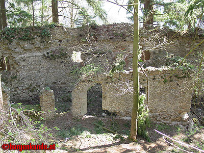 Burgruine Klingenberg / Niederösterreich