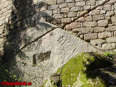 Burgruine Klingenberg / Niederösterreich