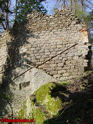 Burgruine Klingenberg / Niederösterreich