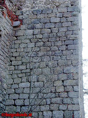 Burgruine Klingenberg / Niederösterreich