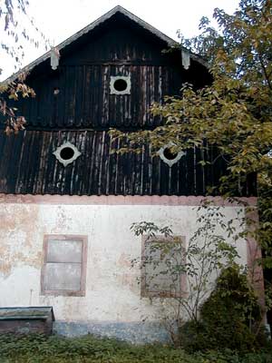 Ruine Dachsberg