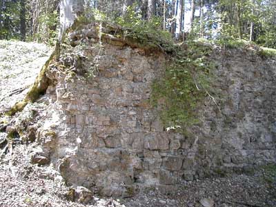 Ruine Kogl