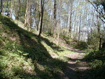 Ruine Kogl