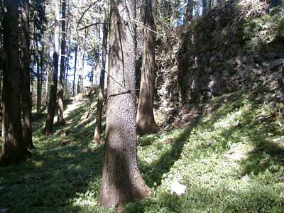 Ruine Kogl