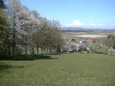 Ruine Kogl