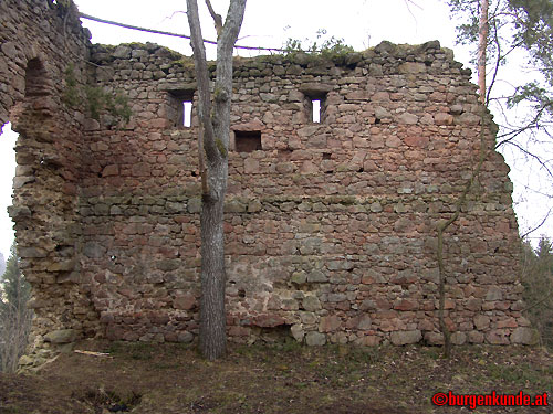 Ruine Kronast / Oberösterreich