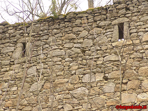 Ruine Kronast / Oberösterreich