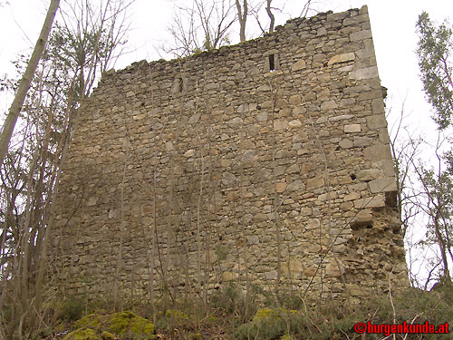 Ruine Kronast / Oberösterreich