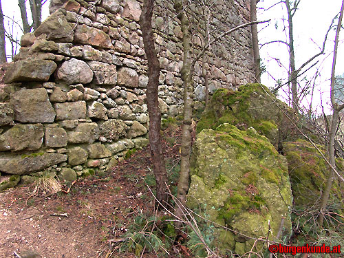 Ruine Kronast / Oberösterreich