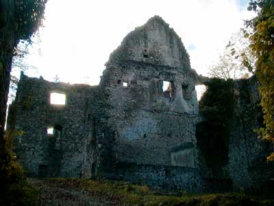 Ruine Dachsberg