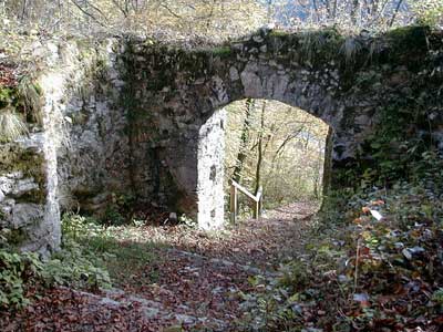 Ruine Dachsberg