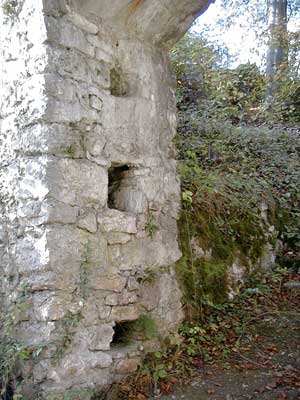 Ruine Dachsberg