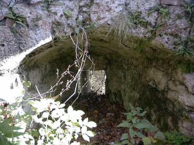 Ruine Dachsberg