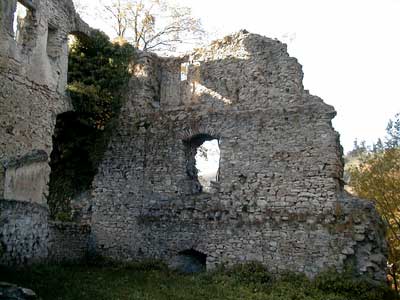 Ruine Dachsberg