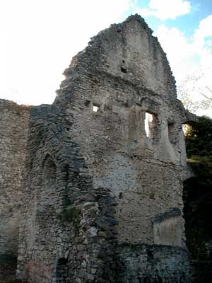 Ruine Dachsberg