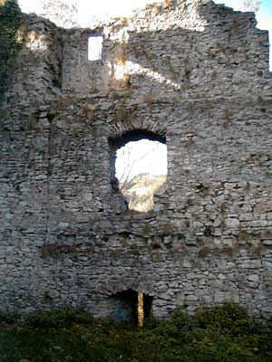 Ruine Dachsberg