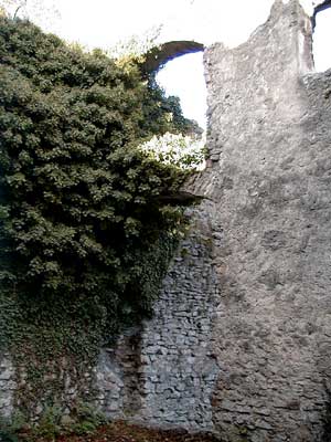 Ruine Dachsberg