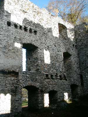 Ruine Dachsberg