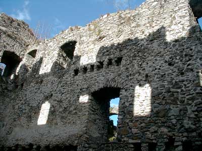 Ruine Dachsberg