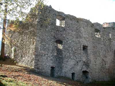 Ruine Dachsberg