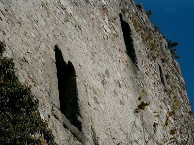 Ruine Dachsberg