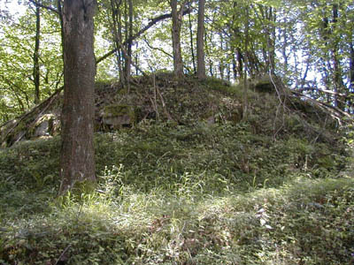 Ruine Mitterberg