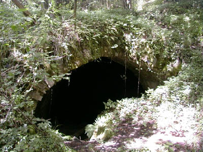 Ruine Mitterberg