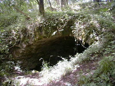 Ruine Mitterberg