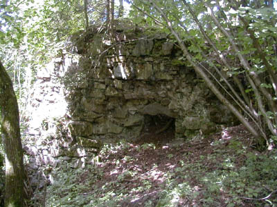 Ruine Mitterberg