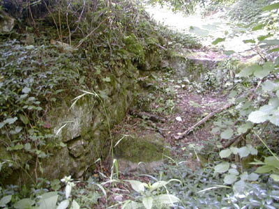 Ruine Mitterberg