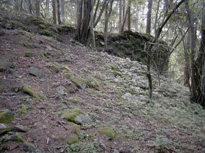 Ruine Möstling