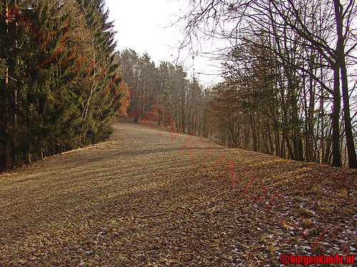 Burgstall Alt-Hagenberg / Oberösterreich