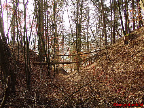 Burgstall Alt-Hagenberg / Oberösterreich